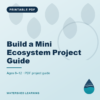 Build a Mini Ecosystem Project Guide — cover image