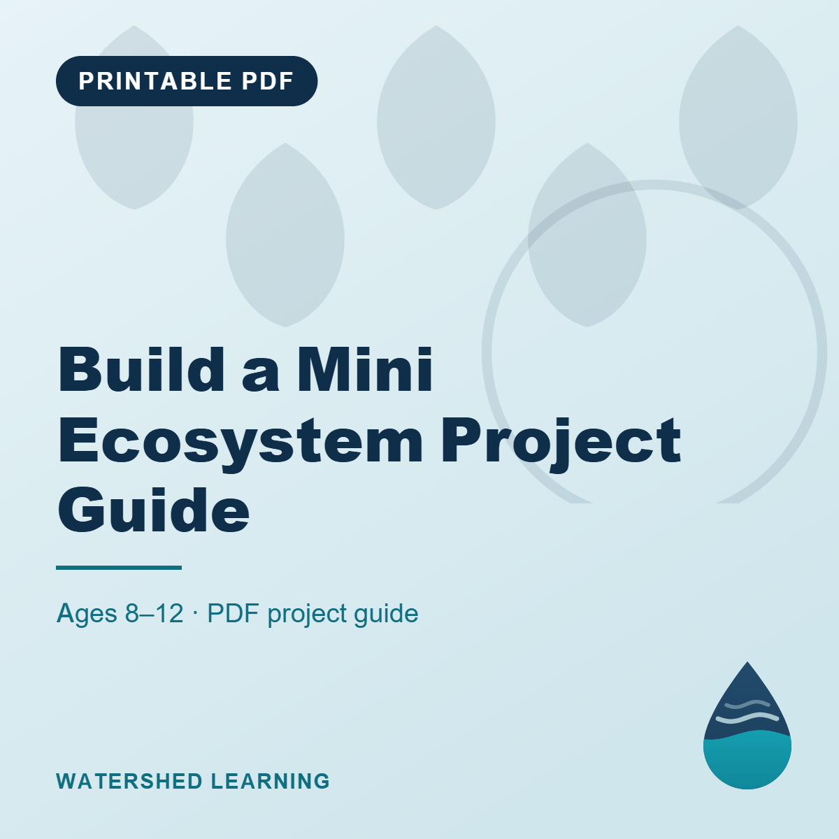Build a Mini Ecosystem Project Guide — cover image