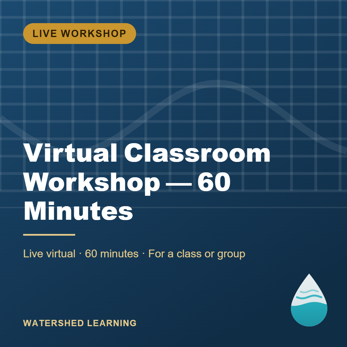 Virtual Classroom Workshop — 60 Minutes — cover image