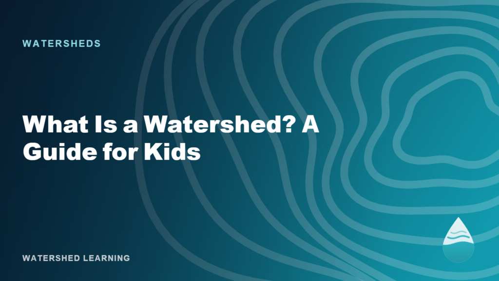 Abstract contour map graphic representing a watershed